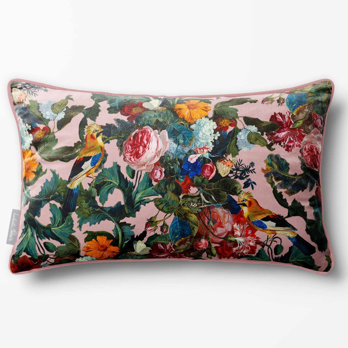 Birds In Paradise | Sustainable Velvet Rectangle Cushion - Rosewater 50 x 30 cm Piped by Izabela Peters