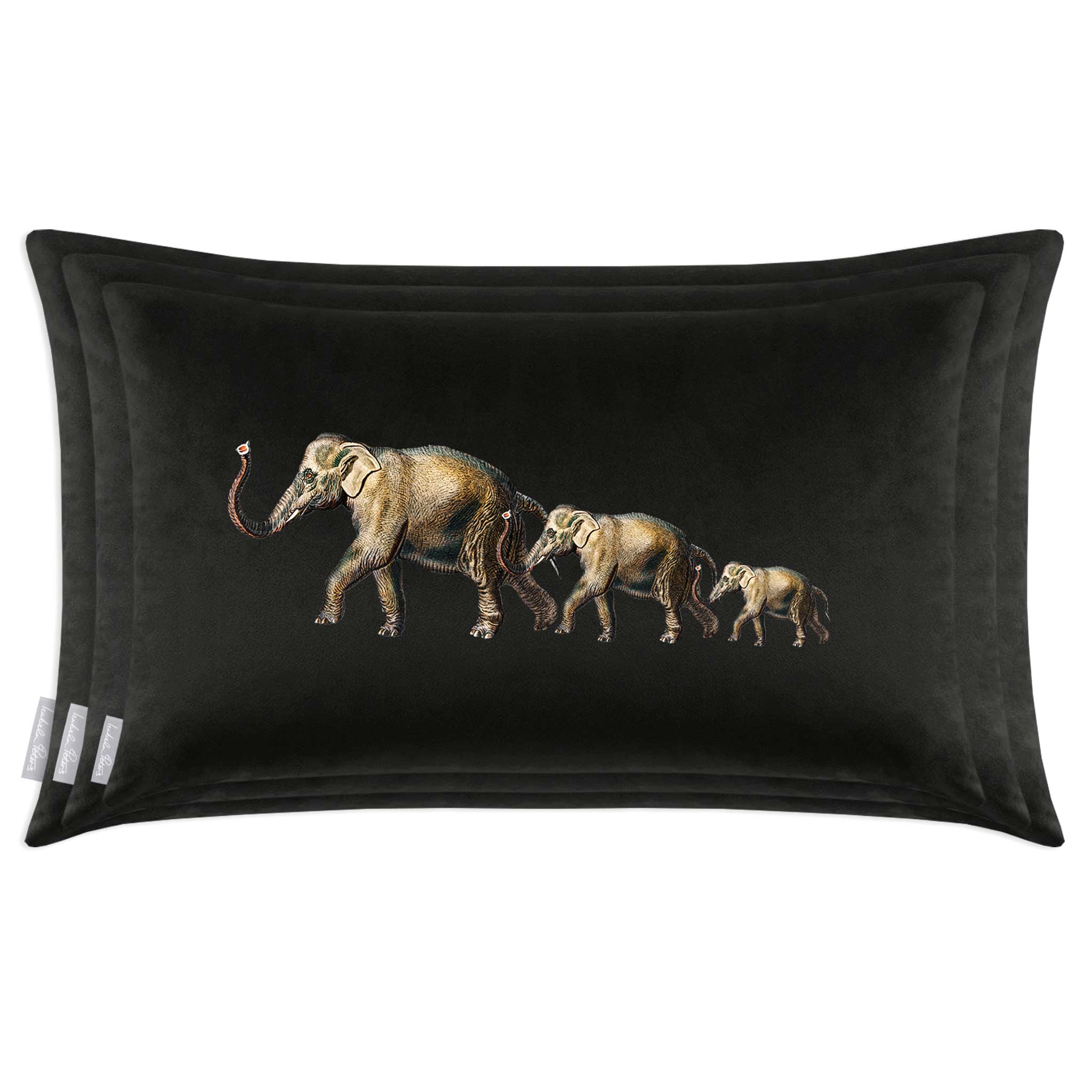 Elephants | Sustainable Velvet Rectangle Cushion - Charcoal 50 x 30 cm Cover Only by Izabela Peters