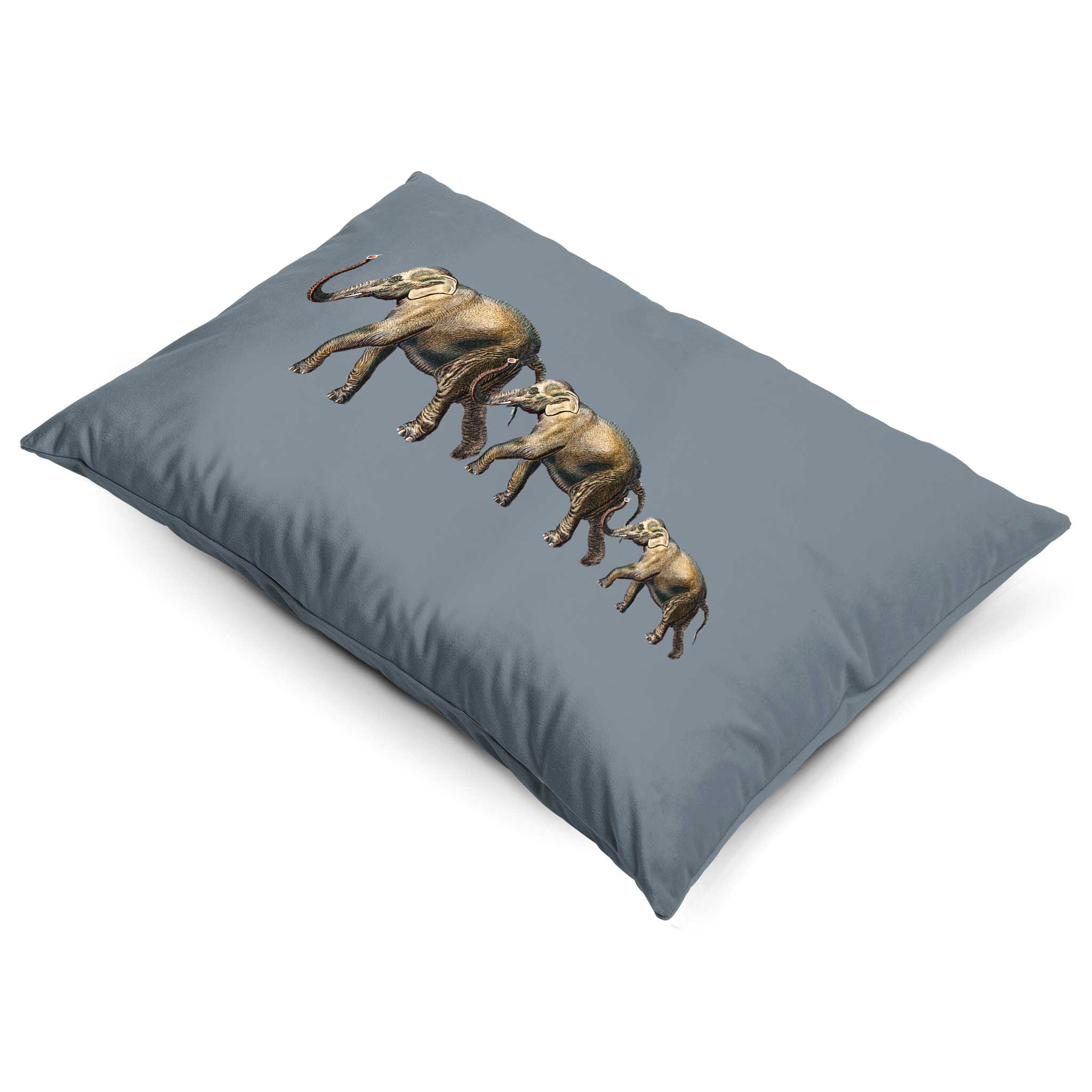 Elephants | Sustainable Velvet Rectangle Cushion - French Grey 50 x 30 cm Cover Only by Izabela Peters