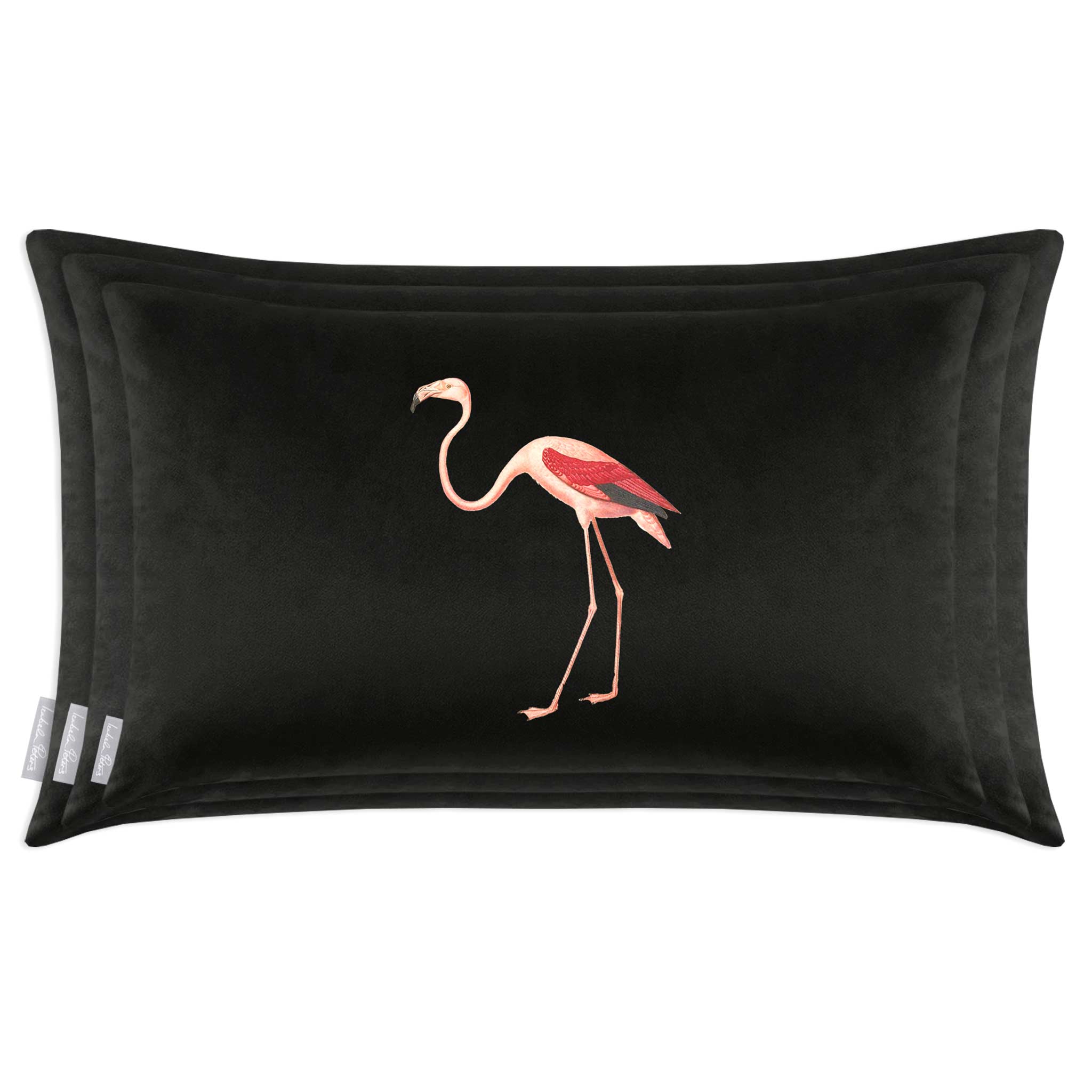 Flamingo | Sustainable Velvet Rectangle Cushion - Rosewater 50 x 30 cm Cover Only by Izabela Peters