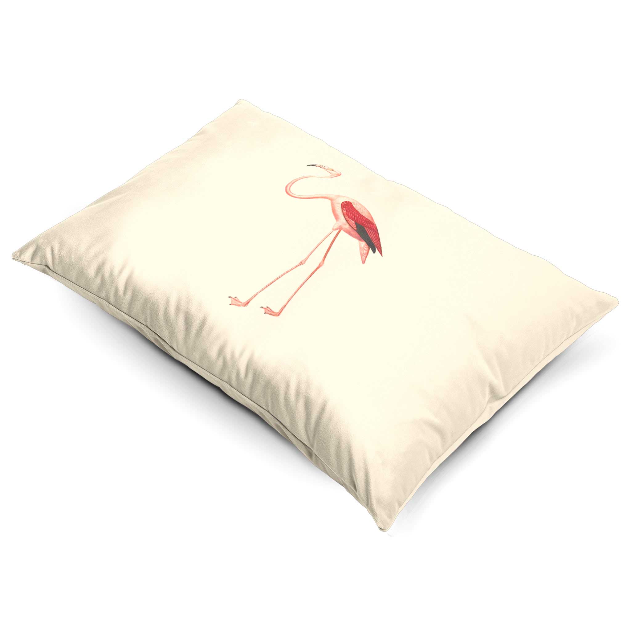 Flamingo | Sustainable Velvet Rectangle Cushion - Ivory Cream 50 x 30 cm Cover Only by Izabela Peters