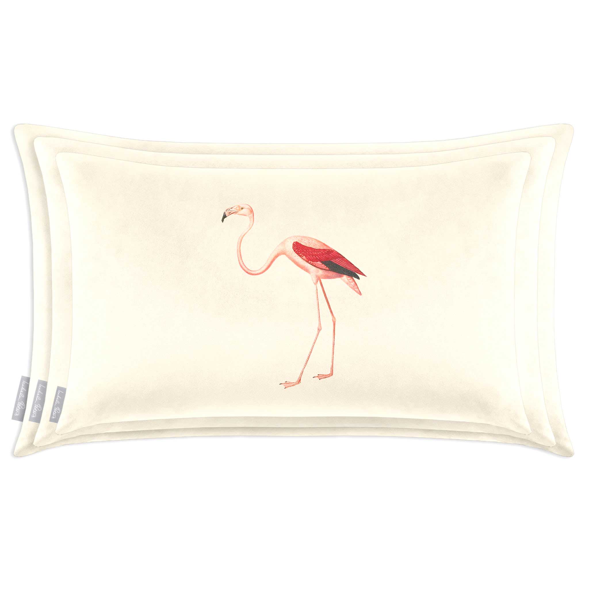 Flamingo | Sustainable Velvet Rectangle Cushion in Ivory Cream 50 x 30 cm Cover Only | Izabela Peters