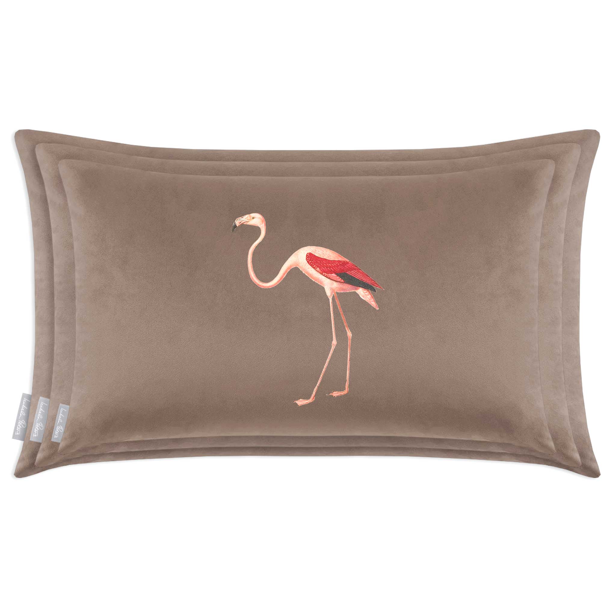 Flamingo | Sustainable Velvet Rectangle Cushion - Dovedale Stone 50 x 30 cm Cover Only by Izabela Peters