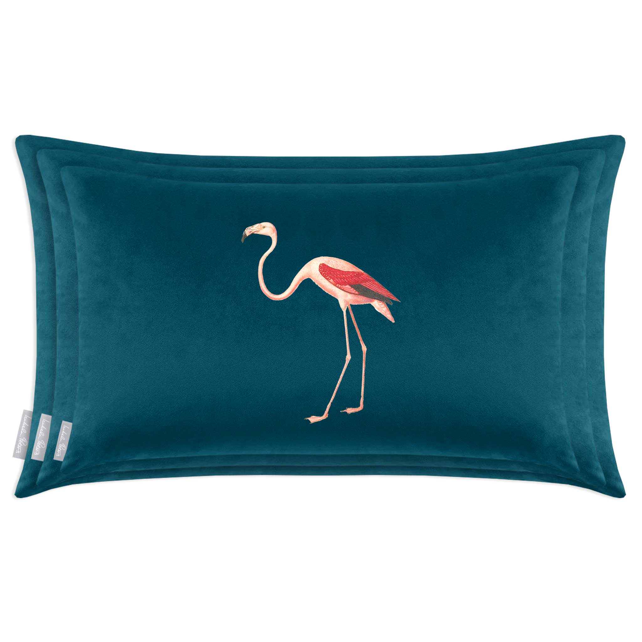 Flamingo | Sustainable Velvet Rectangle Cushion - Teal 50 x 30 cm Cover Only by Izabela Peters