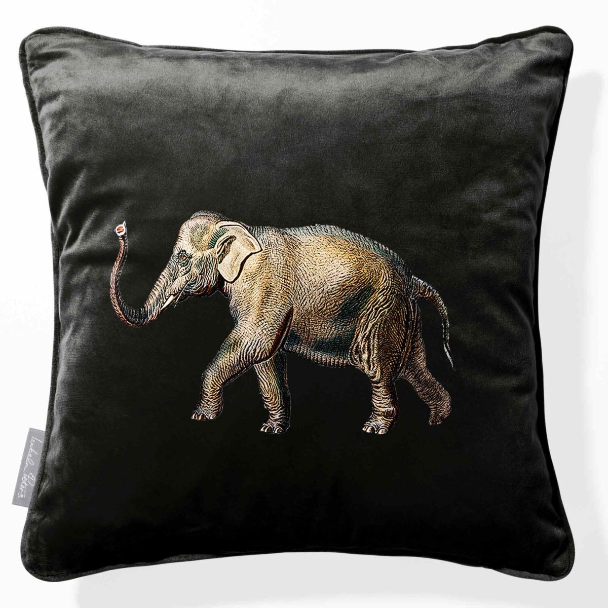Elephant | Sustainable Velvet Cushion - Charcoal 40 x 40 cm Piped by Izabela Peters