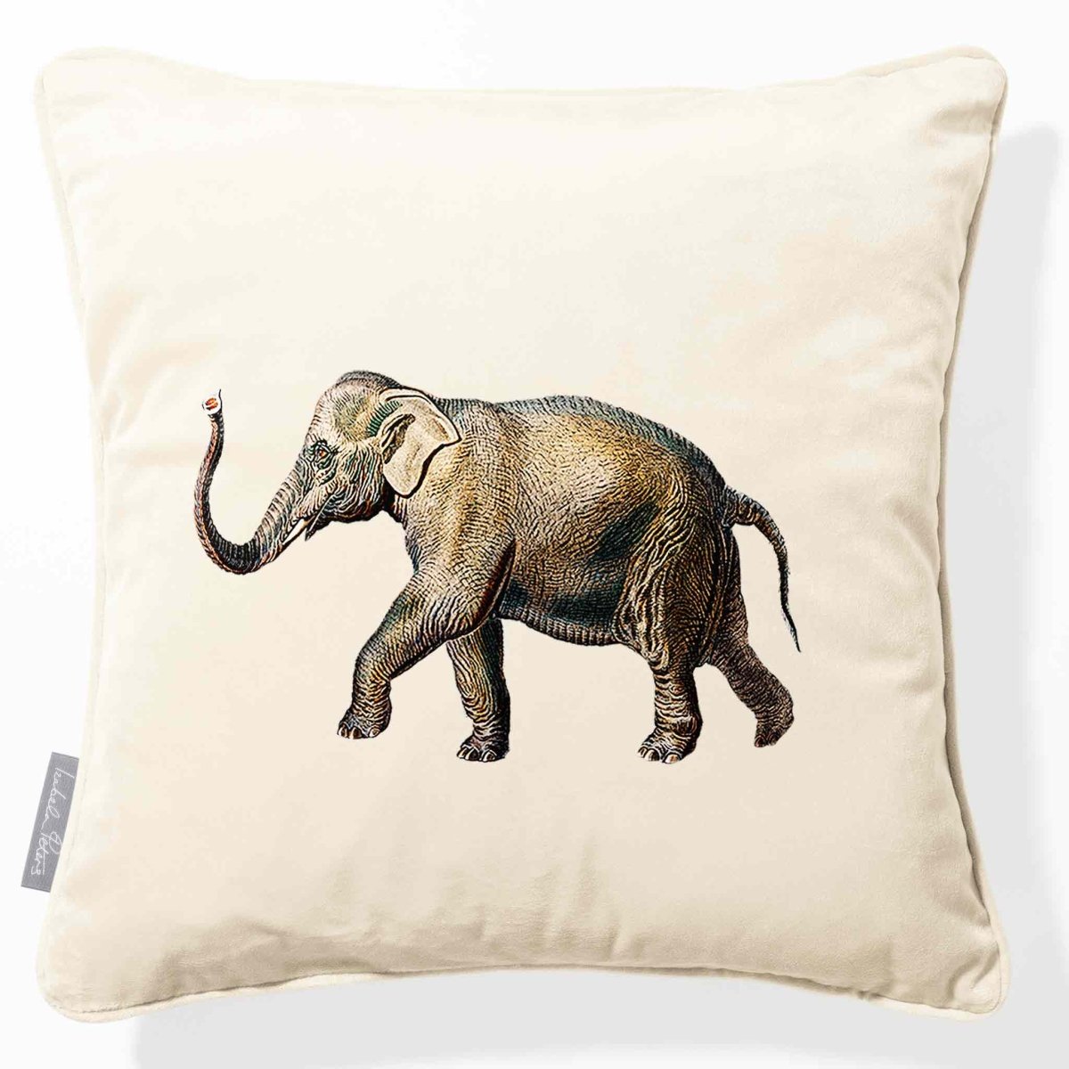Elephant | Sustainable Velvet Cushion - Ivory Cream 40 x 40 cm Piped by Izabela Peters