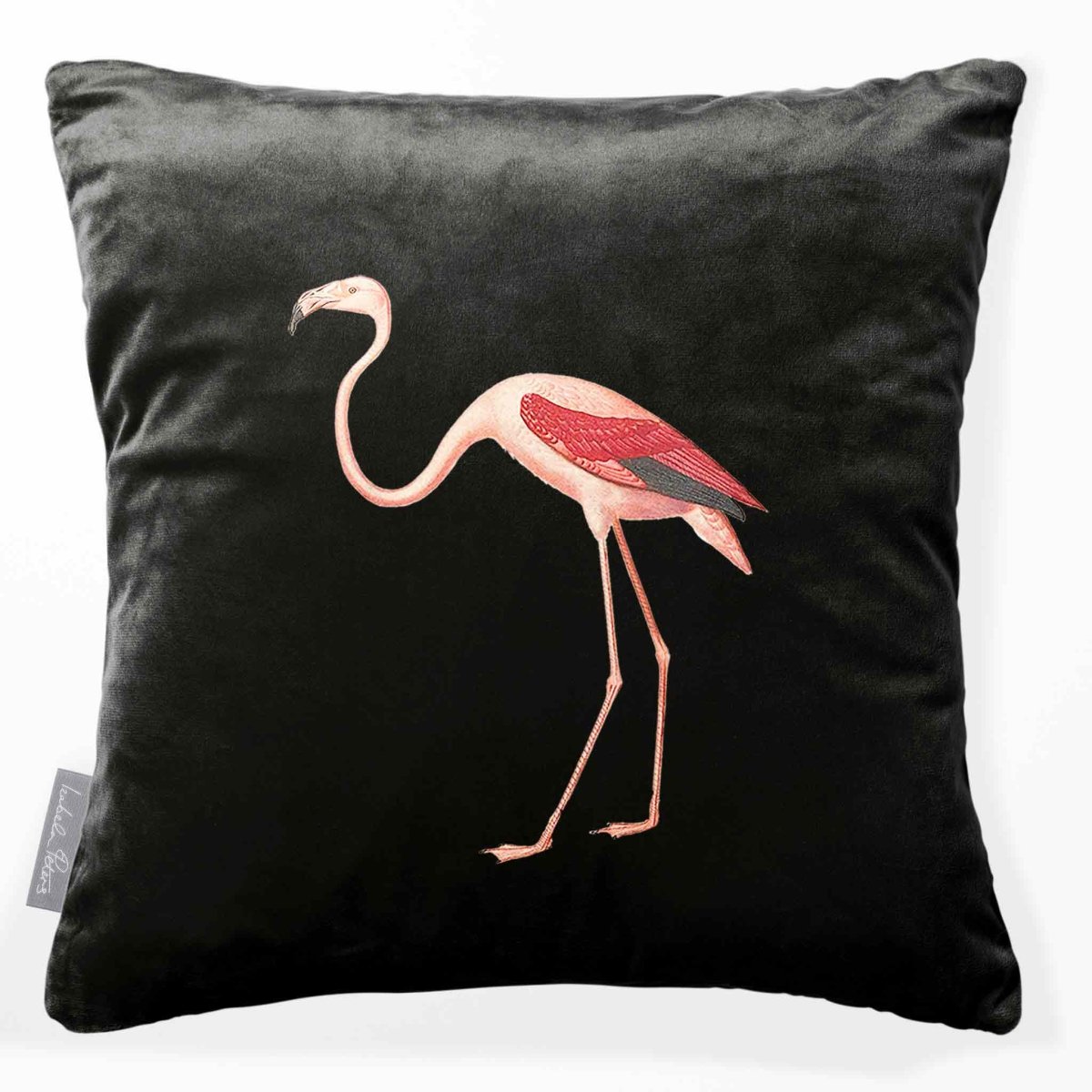 Flamingo | Sustainable Velvet Cushion - Charcoal 40 x 40 cm Smooth by Izabela Peters