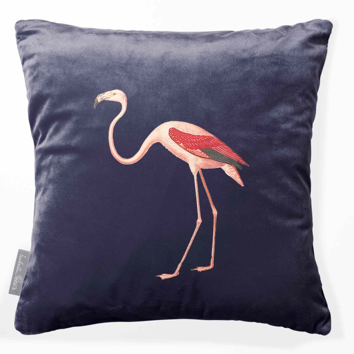 Flamingo | Sustainable Velvet Cushion - Graphite 40 x 40 cm Smooth by Izabela Peters