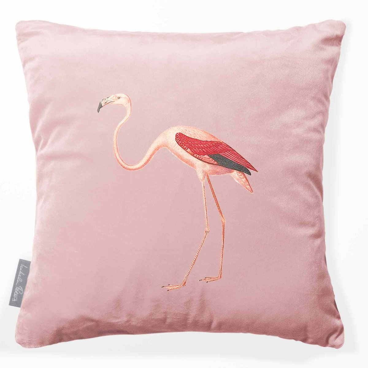 Flamingo | Sustainable Velvet Cushion - Rosewater 40 x 40 cm Smooth by Izabela Peters