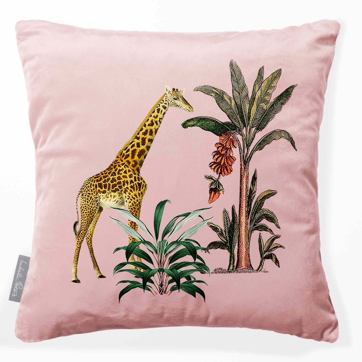 Giraffe | Sustainable Velvet Cushion - Rosewater 40 x 40 cm Smooth by Izabela Peters