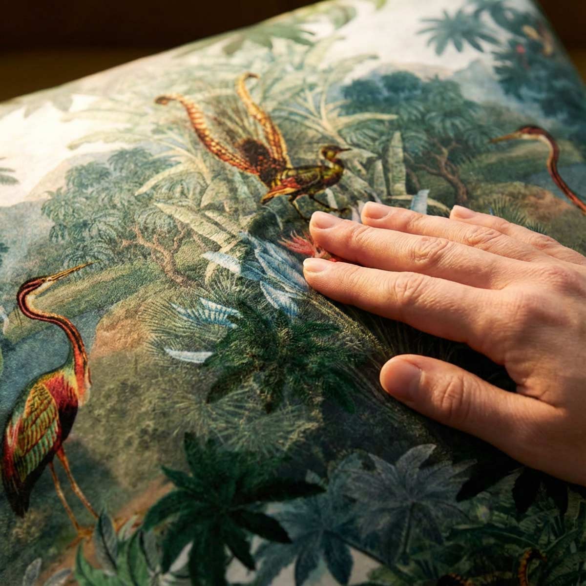 Kilimanjaro | Sustainable Velvet Cushion - 40 x 40 cm Standard by Izabela Peters