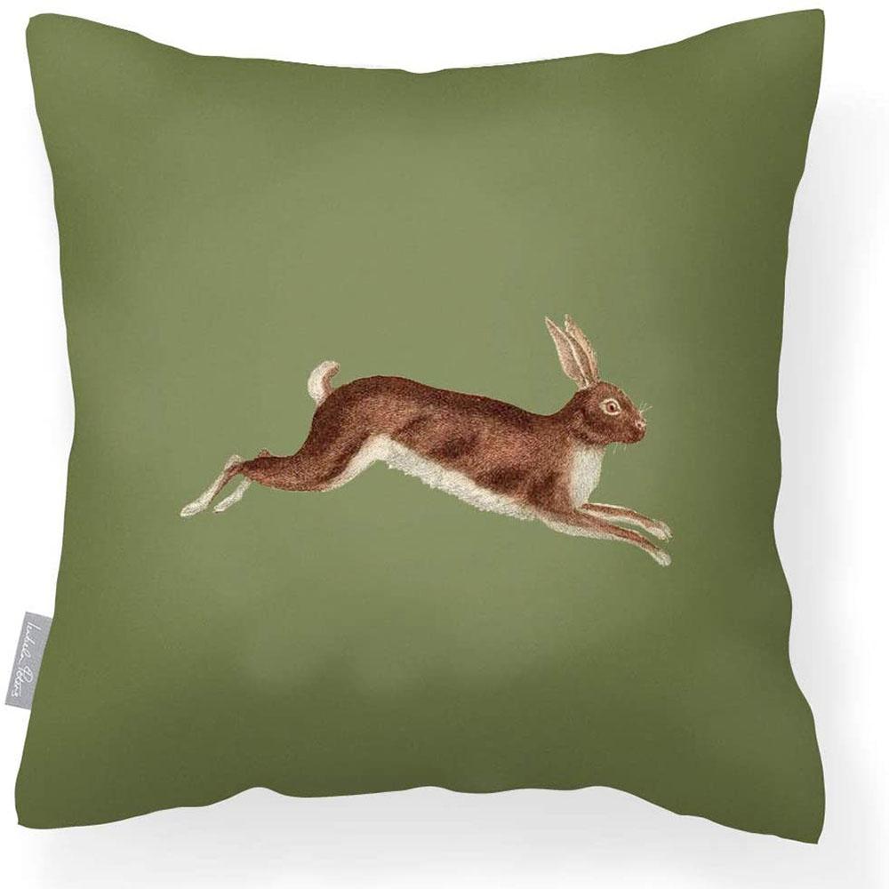 Outdoor Garden Waterproof Cushion - Hare - Sage 50 x 50 cm by Izabela Peters