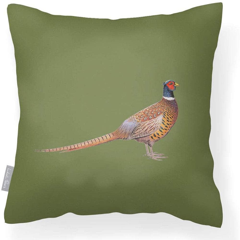 Outdoor Garden Waterproof Cushion - Pheasant - Sage 50 x 50 cm by Izabela Peters