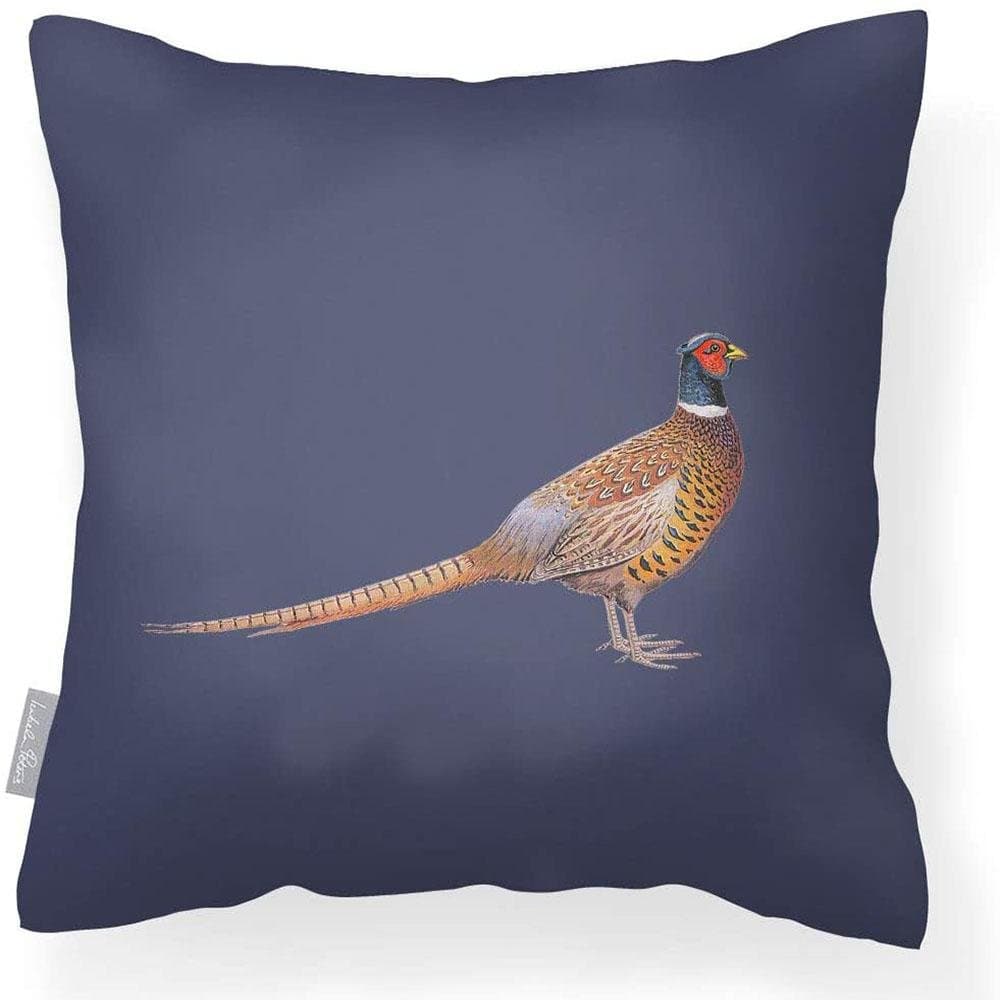 Outdoor Garden Waterproof Cushion - Pheasant - Sage 50 x 50 cm by Izabela Peters