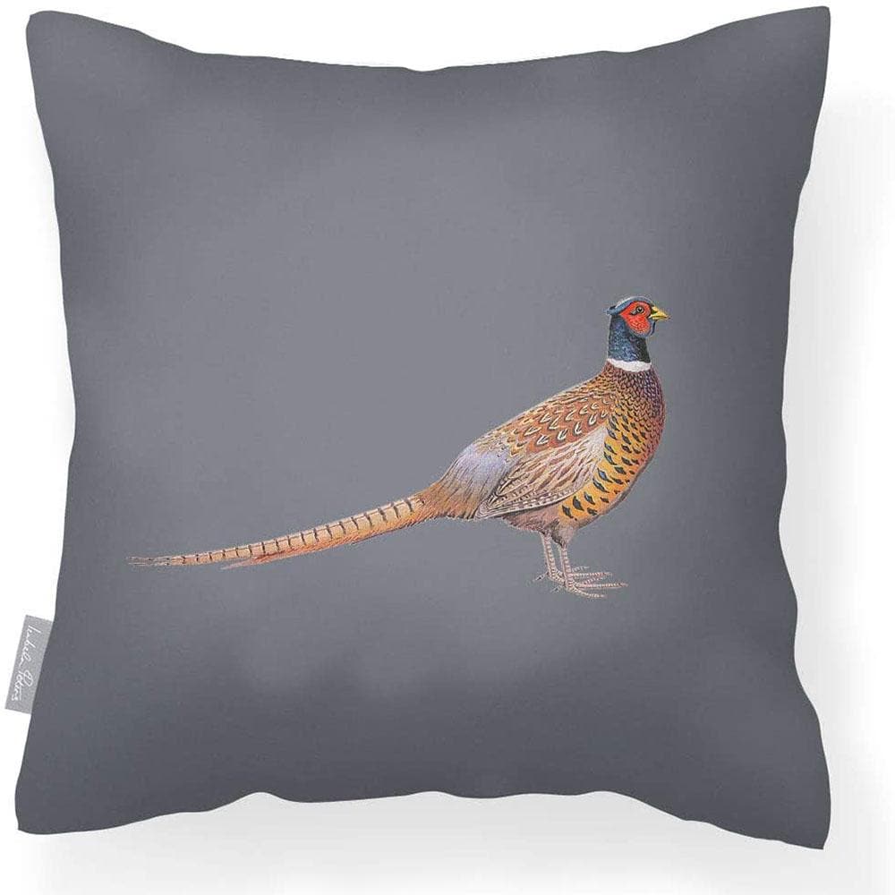 Outdoor Garden Waterproof Cushion - Pheasant - Grey 50 x 50 cm by Izabela Peters
