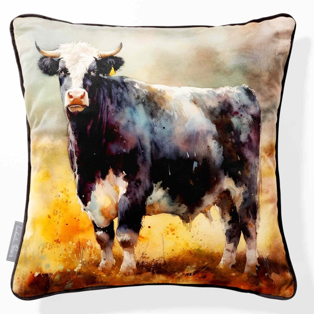 Belted Galloway Cow | Sustainable Velvet Cushion - 40 x 40 cm Piping by Izabela Peters