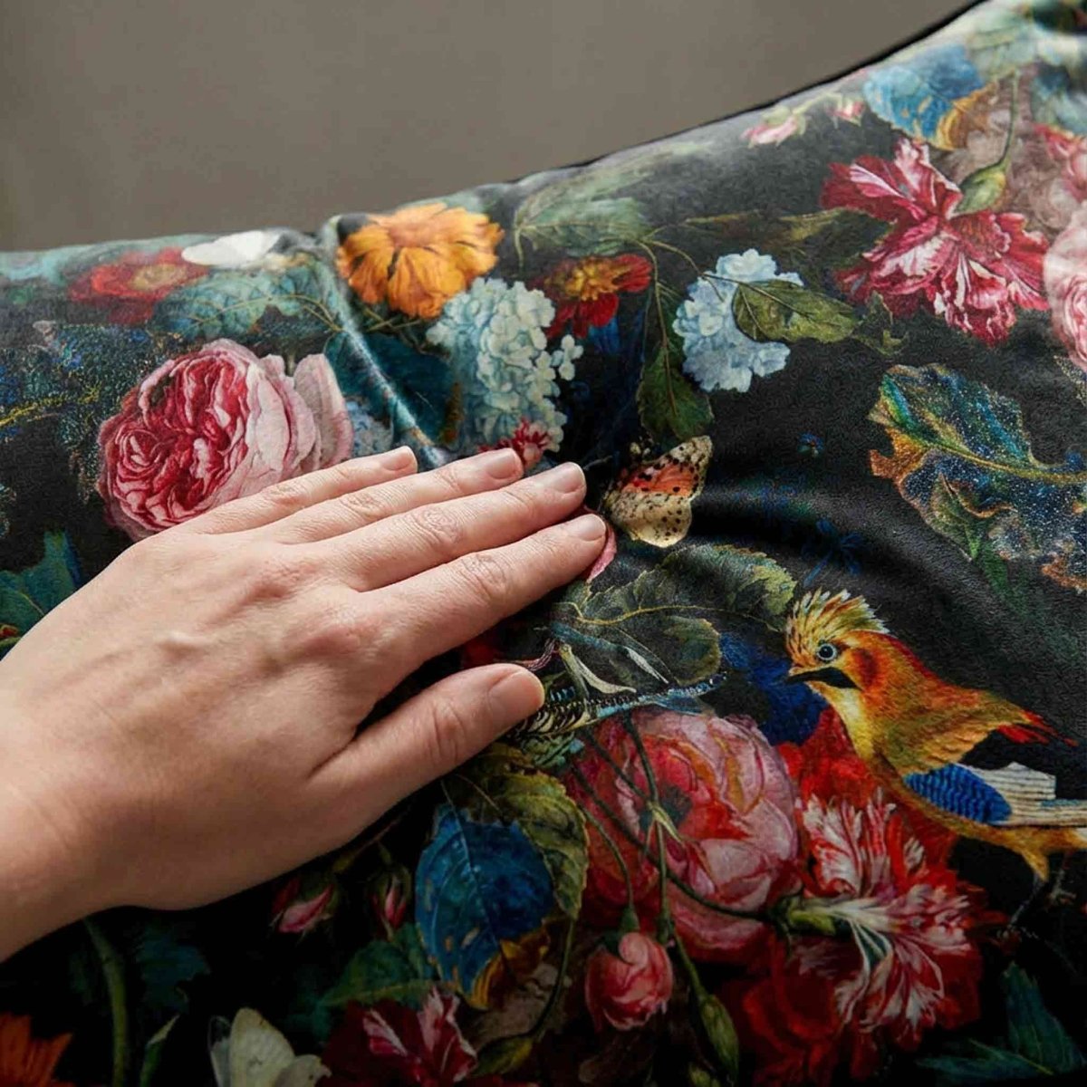 Birds In Paradise | Sustainable Velvet Rectangle Cushion - Charcoal 50 x 30 cm Standard by Izabela Peters