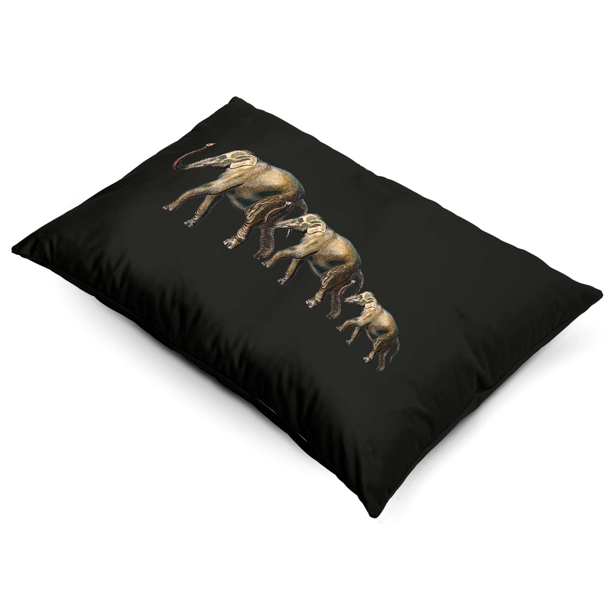 Elephants | Sustainable Velvet Rectangle Cushion - Charcoal 50 x 30 cm Cover Only by Izabela Peters