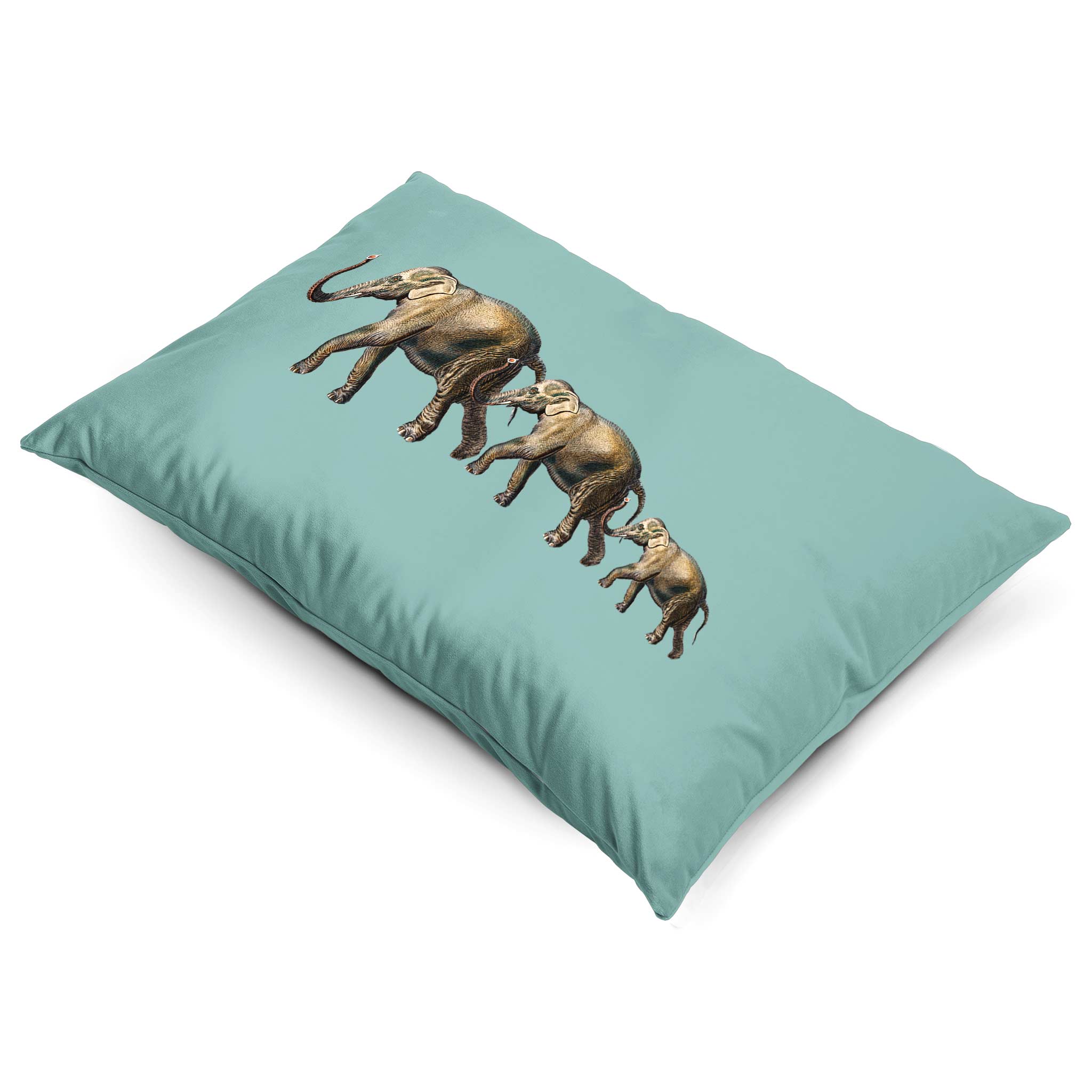 Elephants | Sustainable Velvet Rectangle Cushion - Blue Surf 50 x 30 cm Cover Only by Izabela Peters