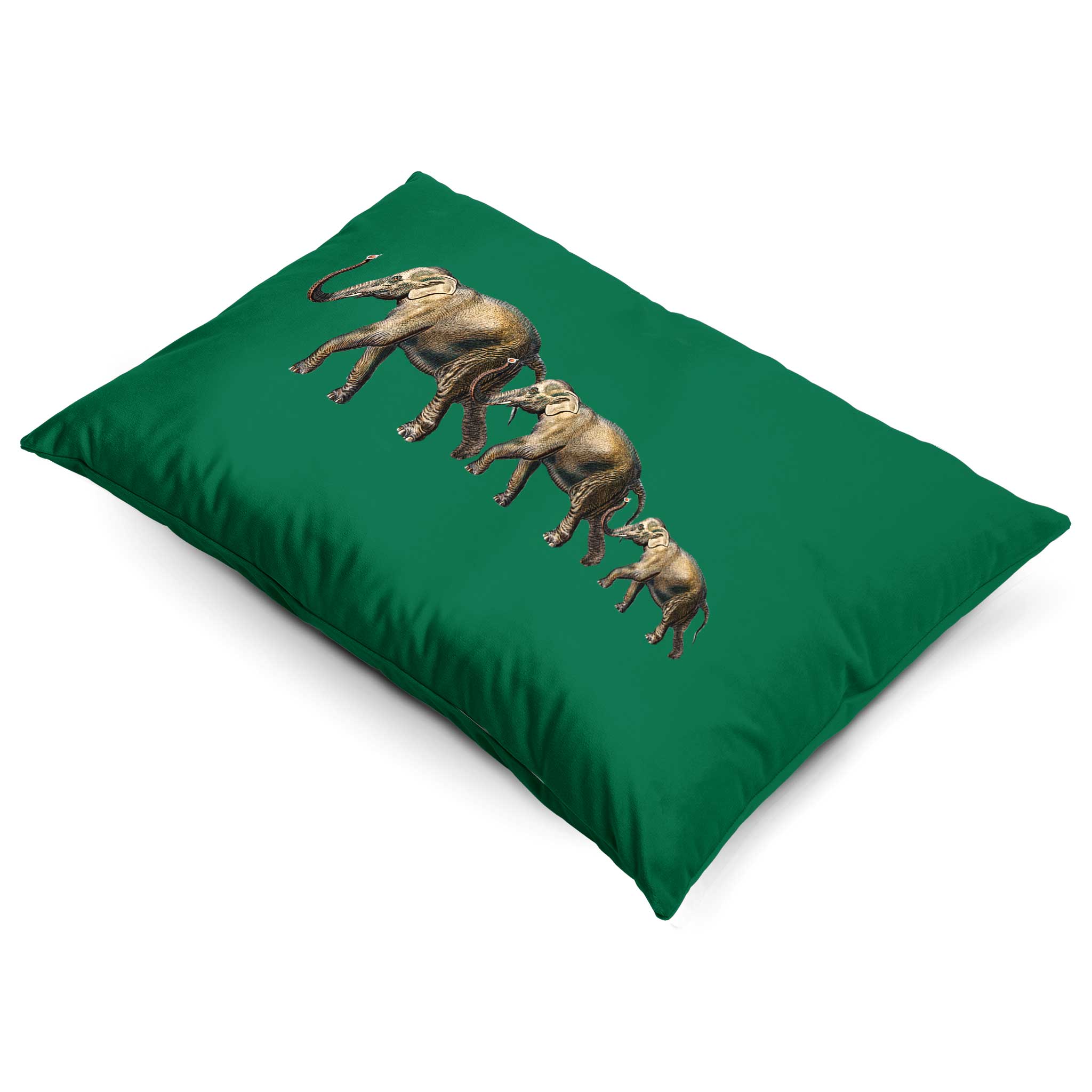 Elephants | Sustainable Velvet Rectangle Cushion - Emerald Green 50 x 30 cm Cover Only by Izabela Peters