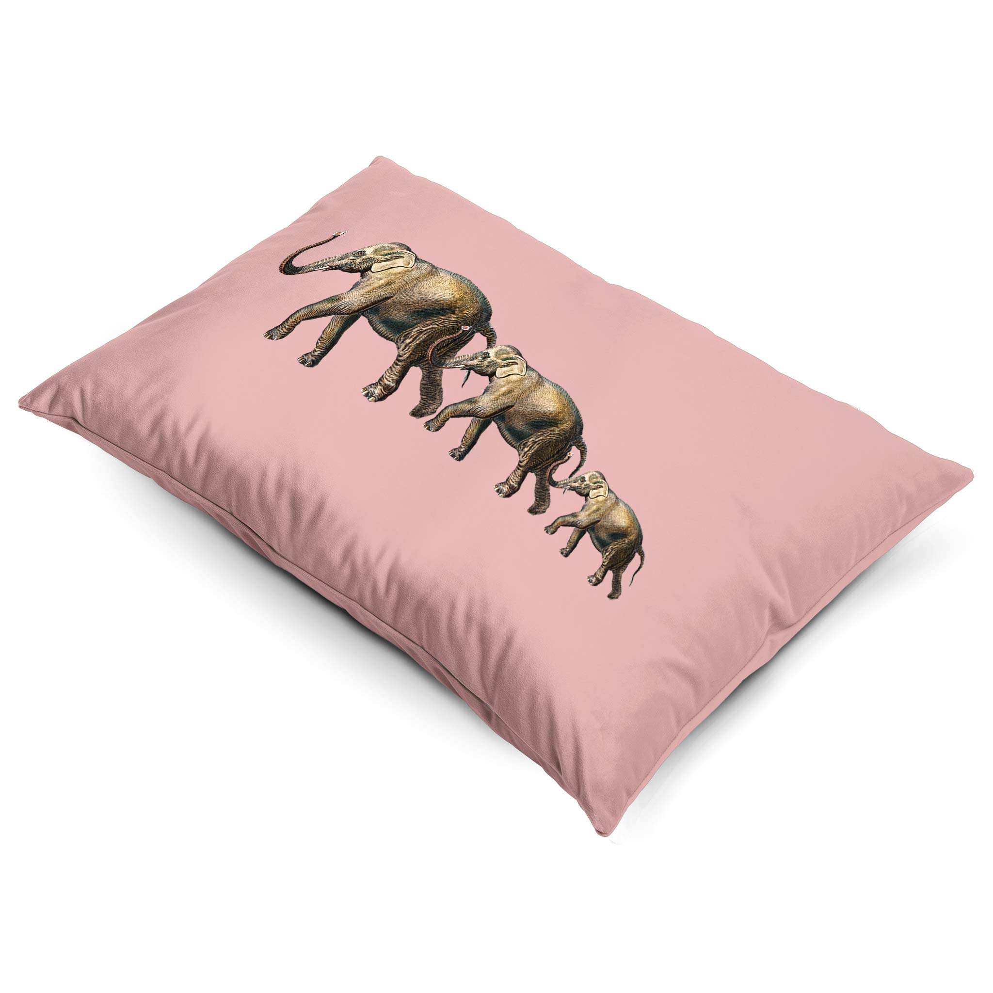 Elephants | Sustainable Velvet Rectangle Cushion - Rosewater 50 x 30 cm Cover Only by Izabela Peters