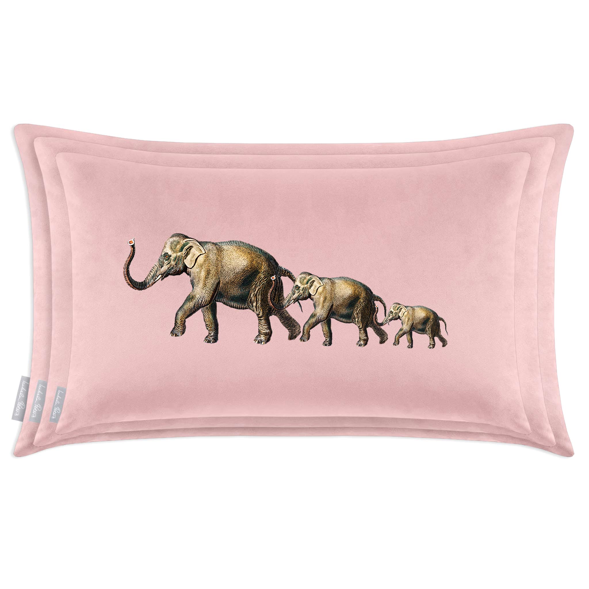 Elephants | Sustainable Velvet Rectangle Cushion - Rosewater 50 x 30 cm Cover Only by Izabela Peters