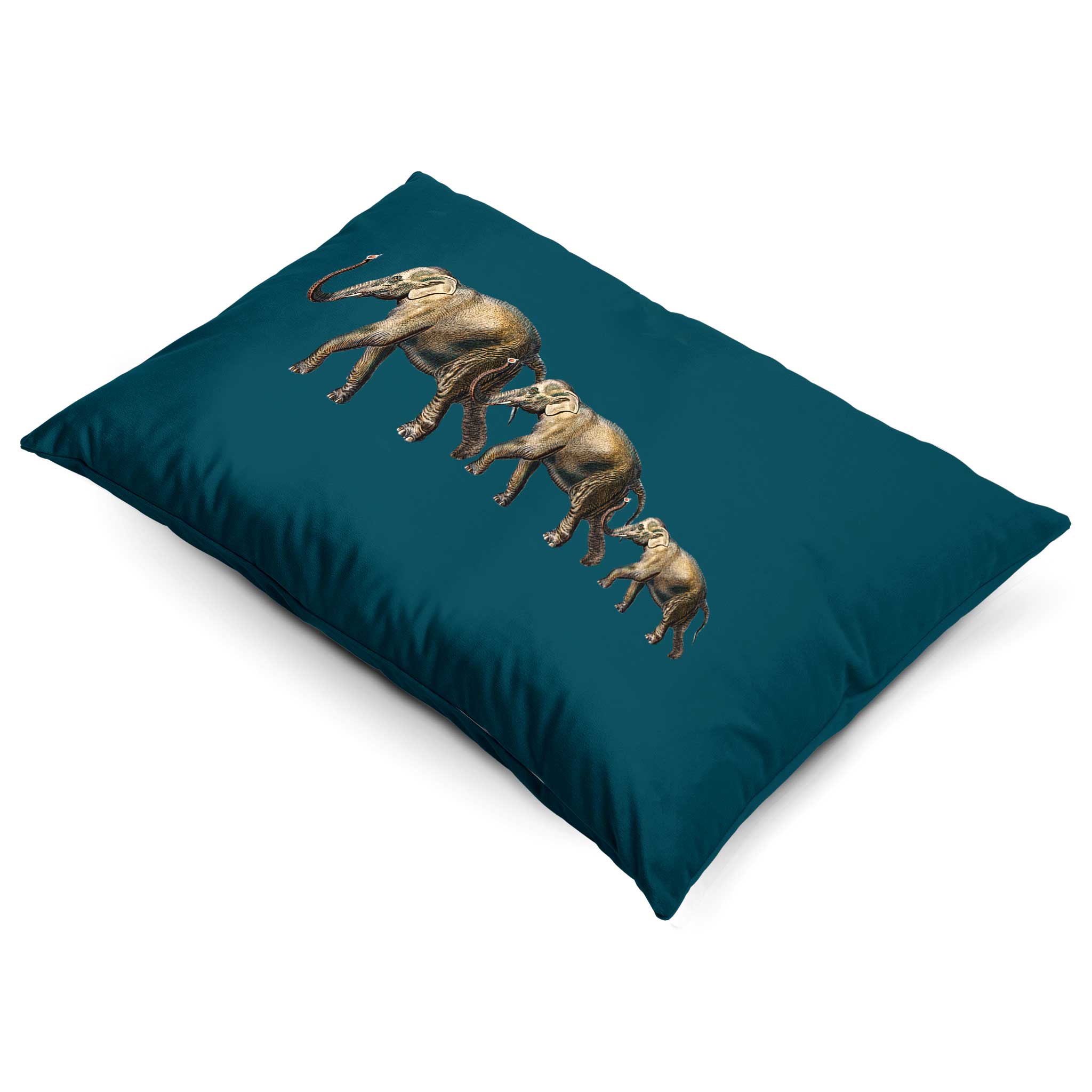 Elephants | Sustainable Velvet Rectangle Cushion - Teal 50 x 30 cm Cover Only by Izabela Peters