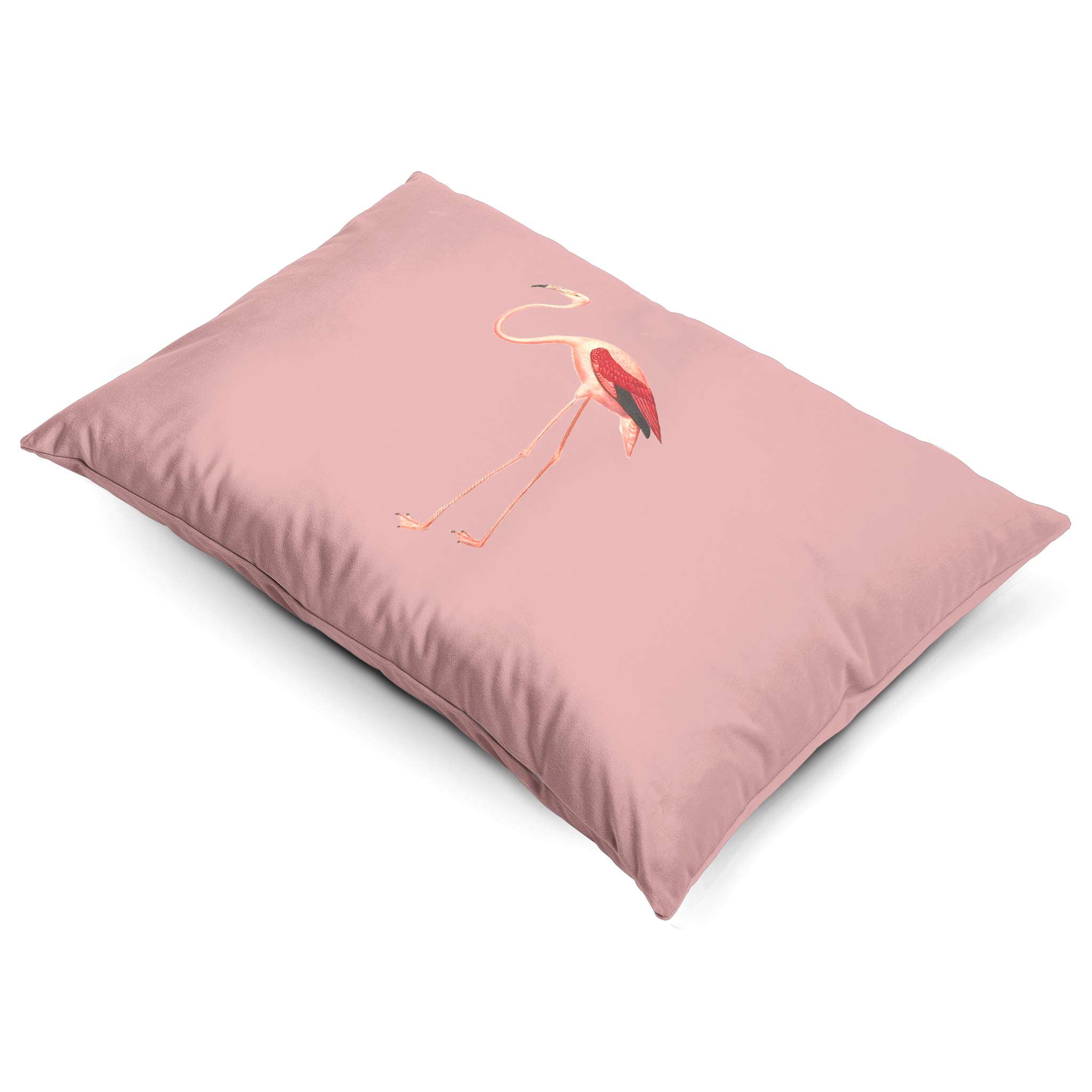 Flamingo | Sustainable Velvet Rectangle Cushion - Rosewater 50 x 30 cm Cover Only by Izabela Peters