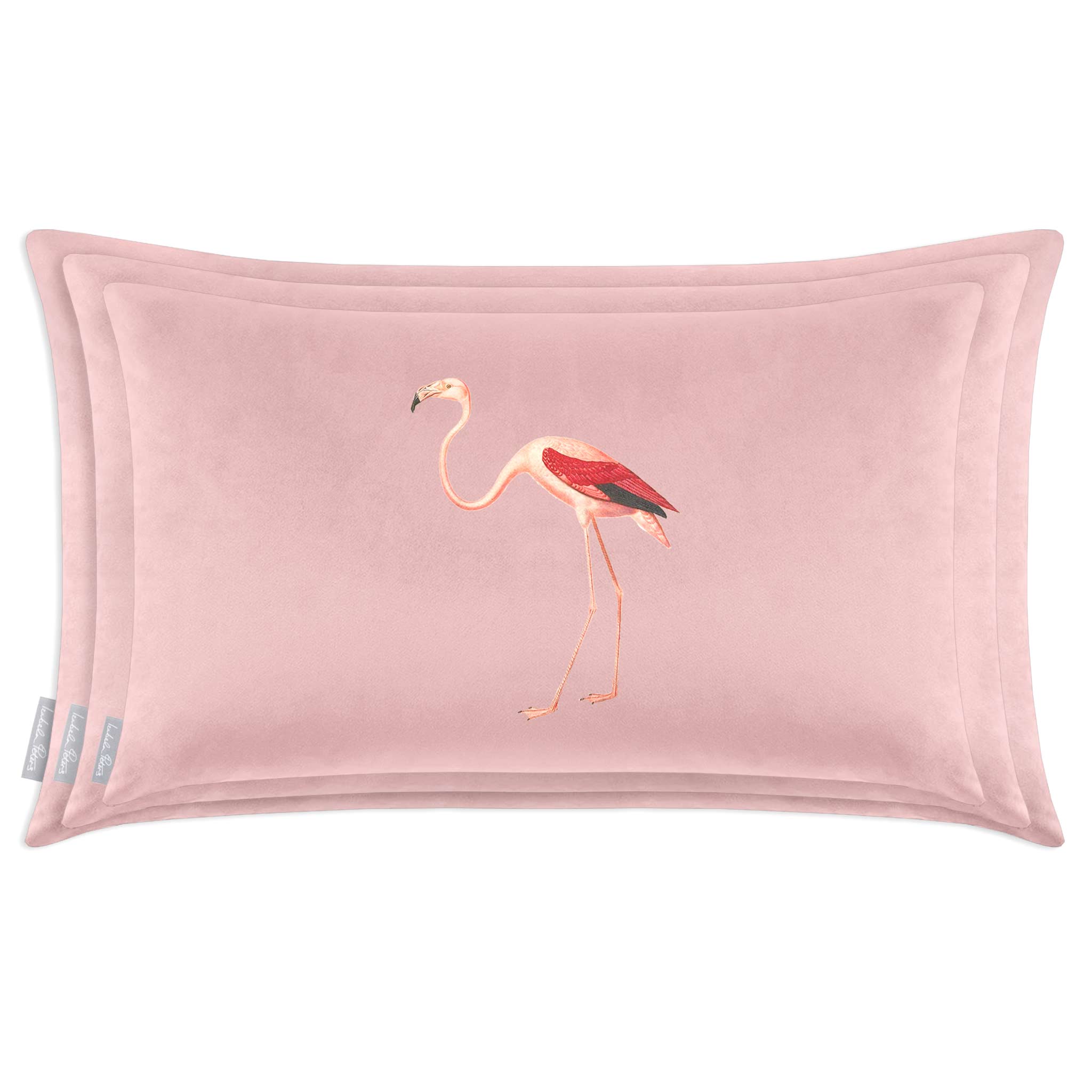 Flamingo | Sustainable Velvet Rectangle Cushion in Rosewater 50 x 30 cm Cover Only | Izabela Peters