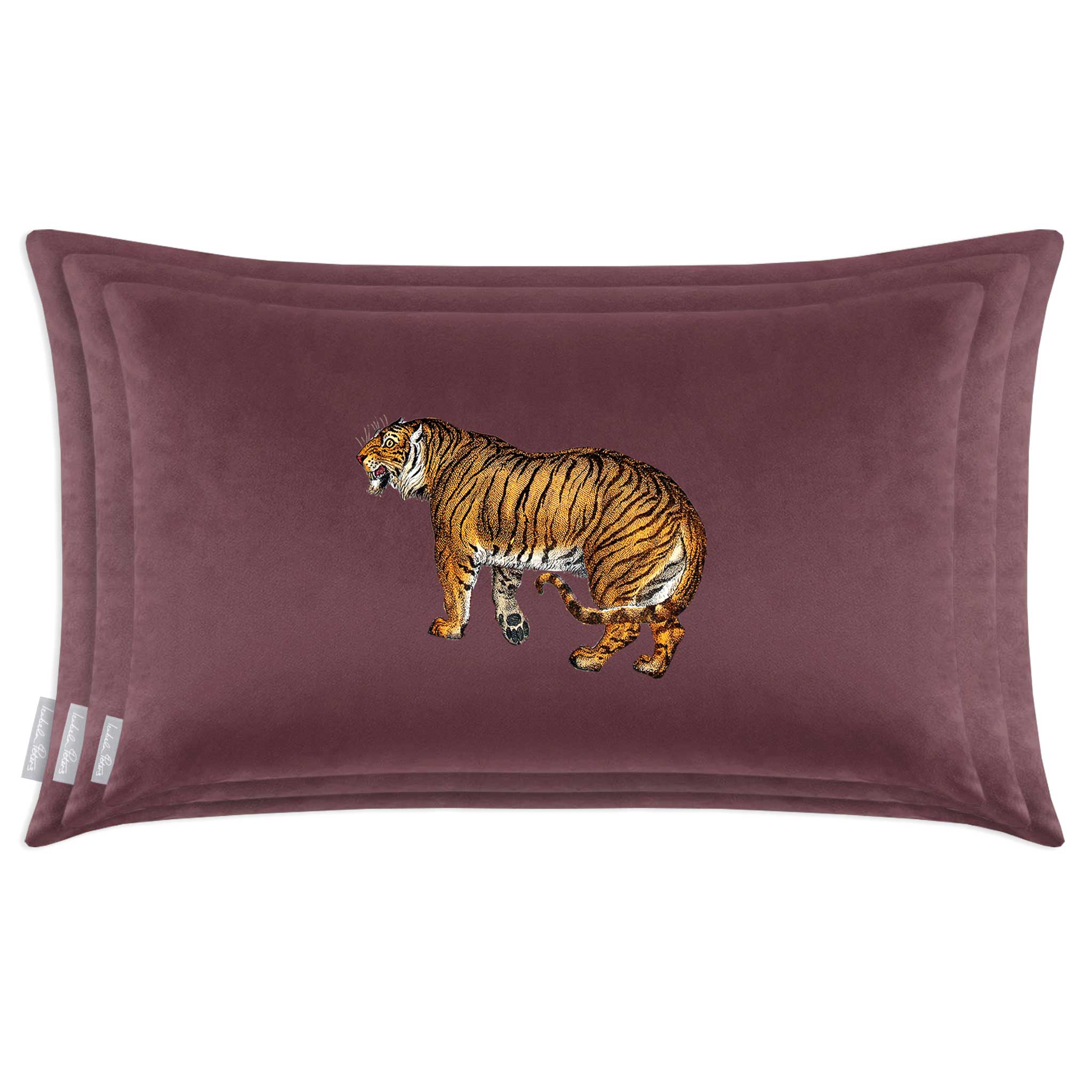 Tiger | Sustainable Velvet Rectangle Cushion - Teal 50 x 30 cm Cover Only by Izabela Peters