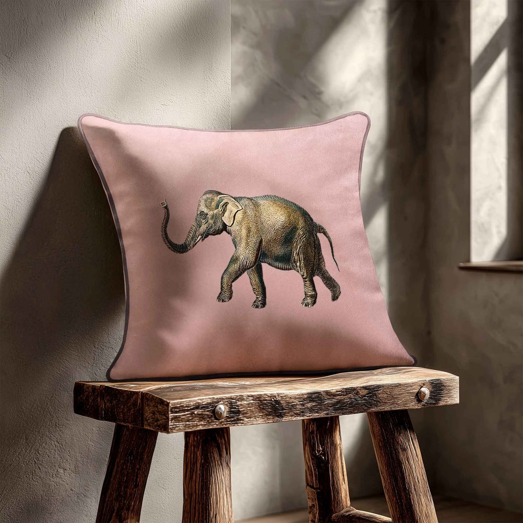 Elephant | Sustainable Velvet Cushion - Rosewater 40 x 40 cm Standard by Izabela Peters
