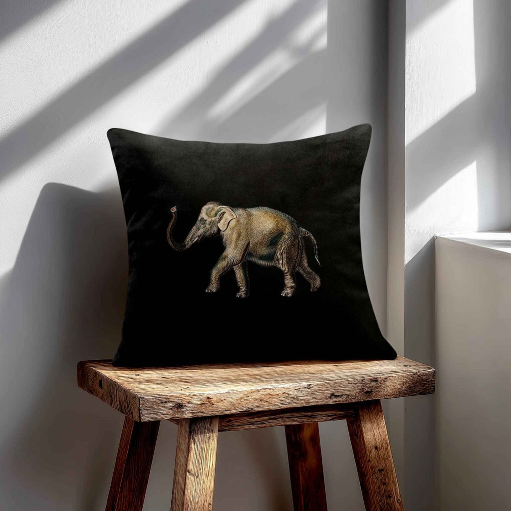 Elephant | Sustainable Velvet Cushion - Charcoal 40 x 40 cm Standard by Izabela Peters