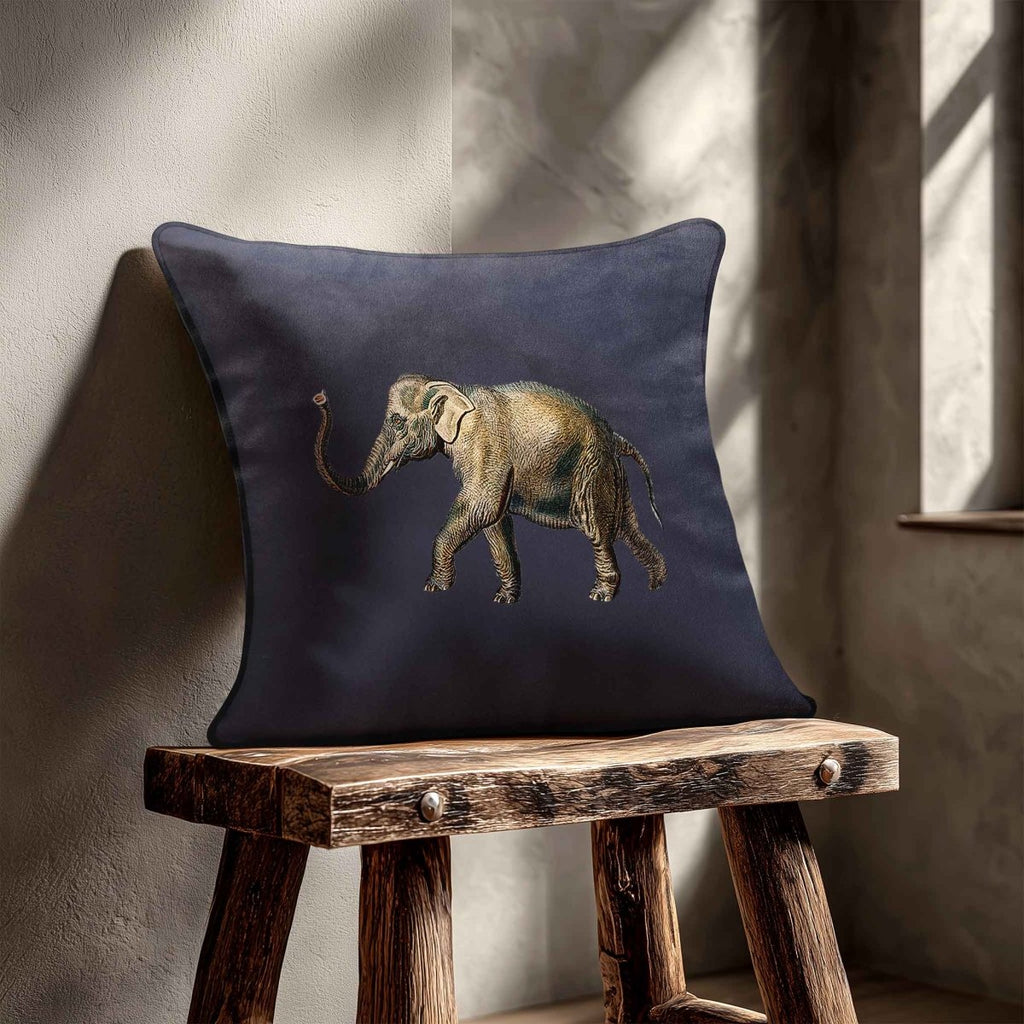 Elephant | Sustainable Velvet Cushion - Graphite 40 x 40 cm Standard by Izabela Peters