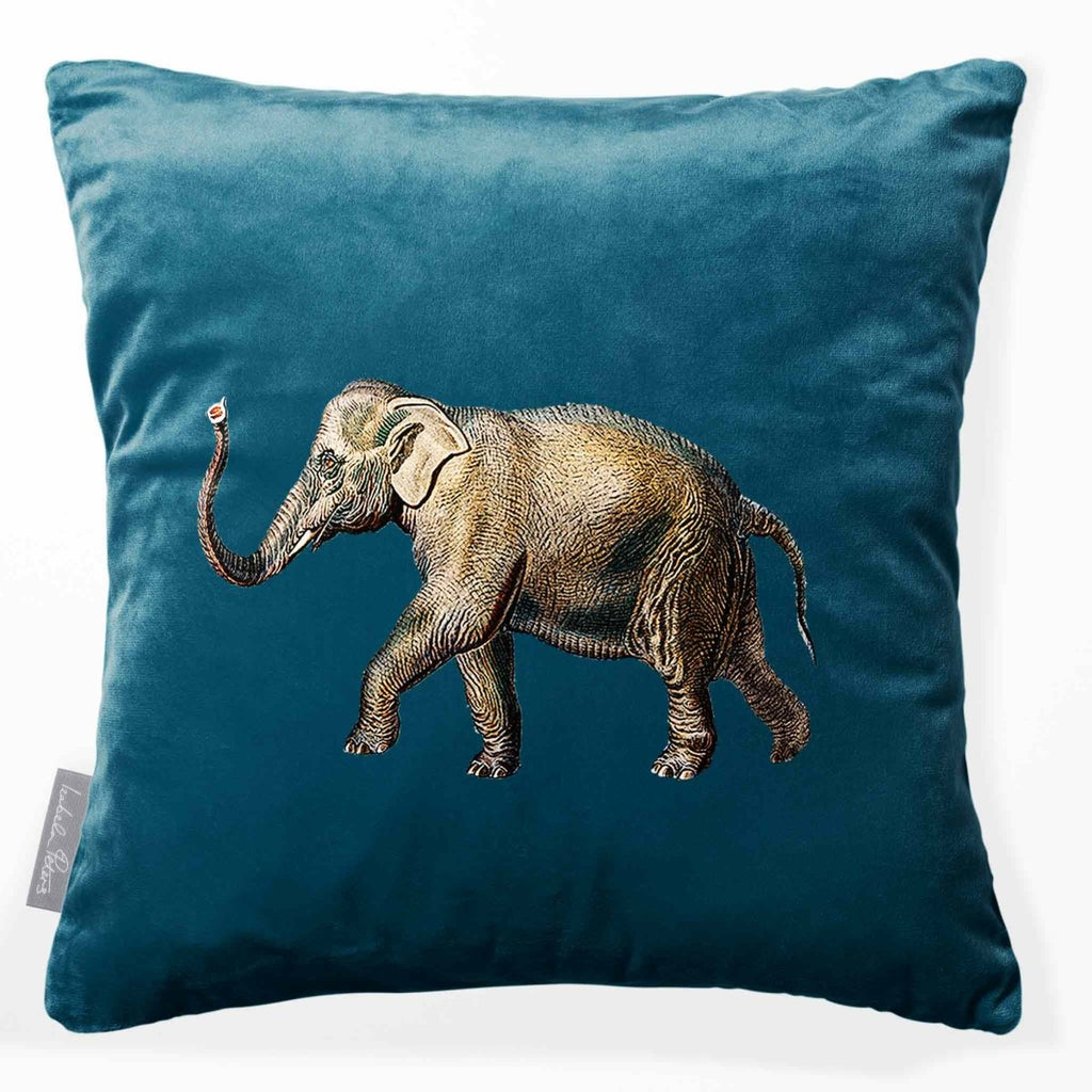 Elephant | Sustainable Velvet Cushion - Teal 40 x 40 cm Smooth by Izabela Peters