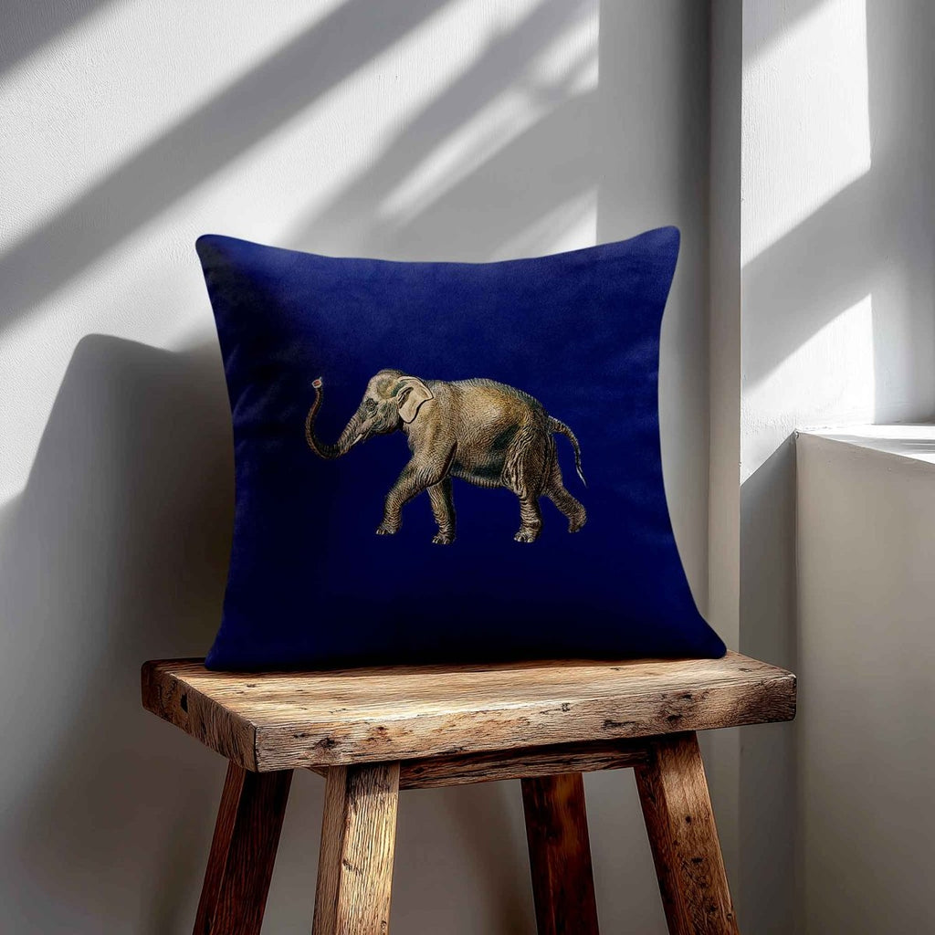 Elephant | Sustainable Velvet Cushion - Midnight 40 x 40 cm Standard by Izabela Peters