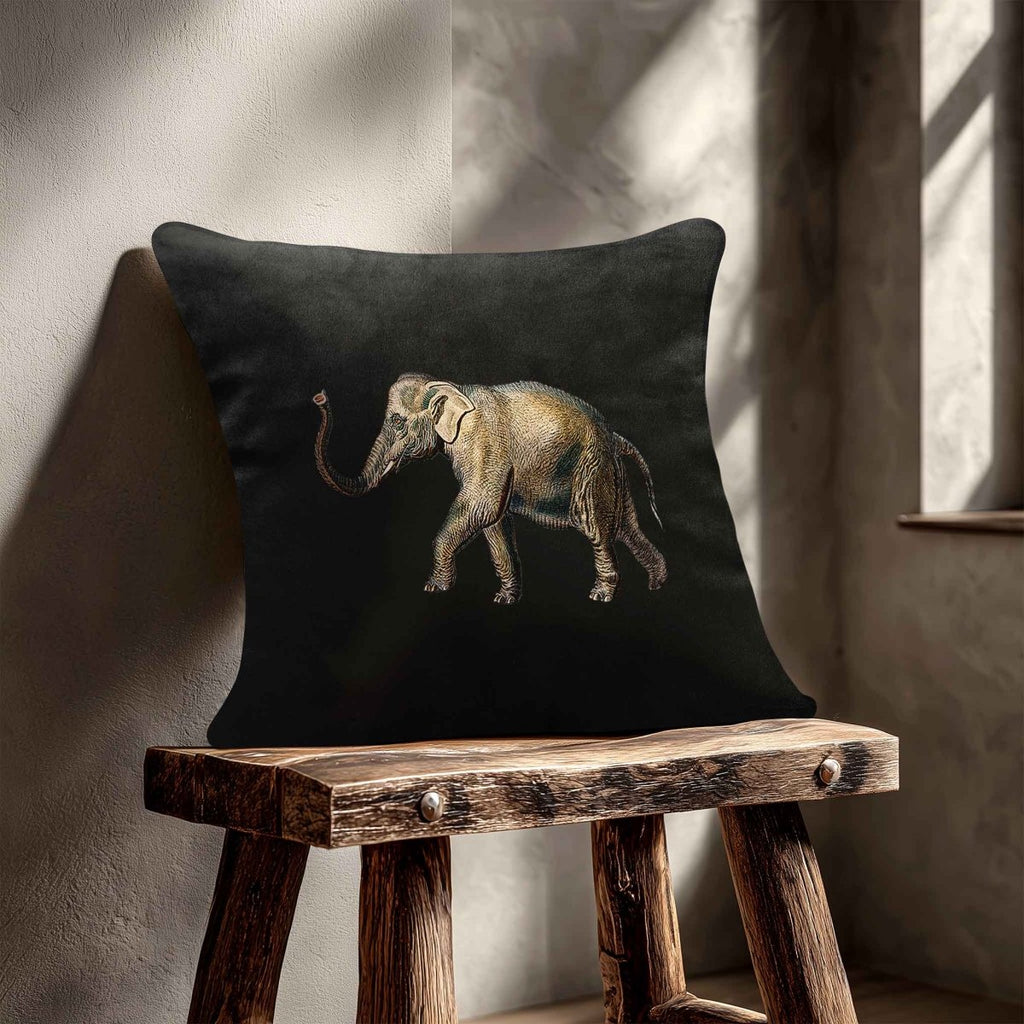 Elephant | Sustainable Velvet Cushion - Charcoal 40 x 40 cm Standard by Izabela Peters