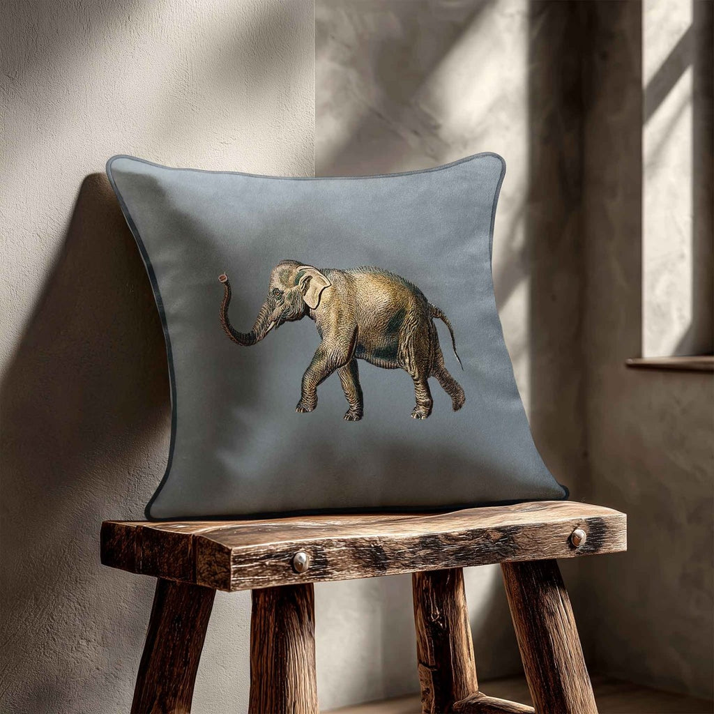 Elephant | Sustainable Velvet Cushion - French Grey 40 x 40 cm Standard by Izabela Peters