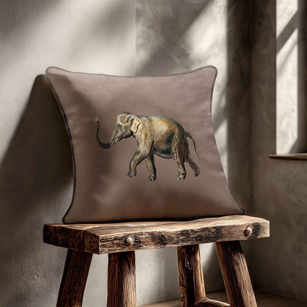 Elephant | Sustainable Velvet Cushion - Dovedale Stone 40 x 40 cm Standard by Izabela Peters