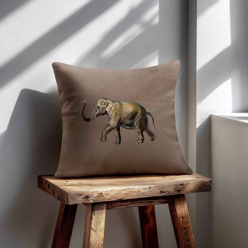 Elephant | Sustainable Velvet Cushion - Dovedale Stone 40 x 40 cm Standard by Izabela Peters