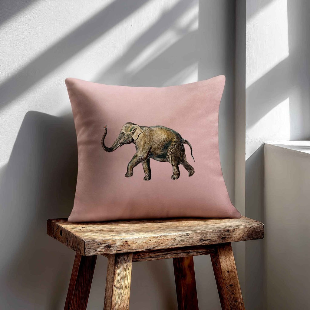Elephant | Sustainable Velvet Cushion - Rosewater 40 x 40 cm Standard by Izabela Peters