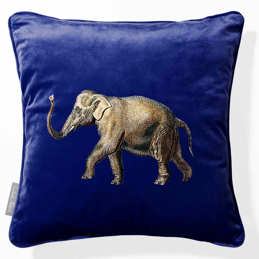 Elephant | Sustainable Velvet Cushion - Midnight 40 x 40 cm Piped by Izabela Peters