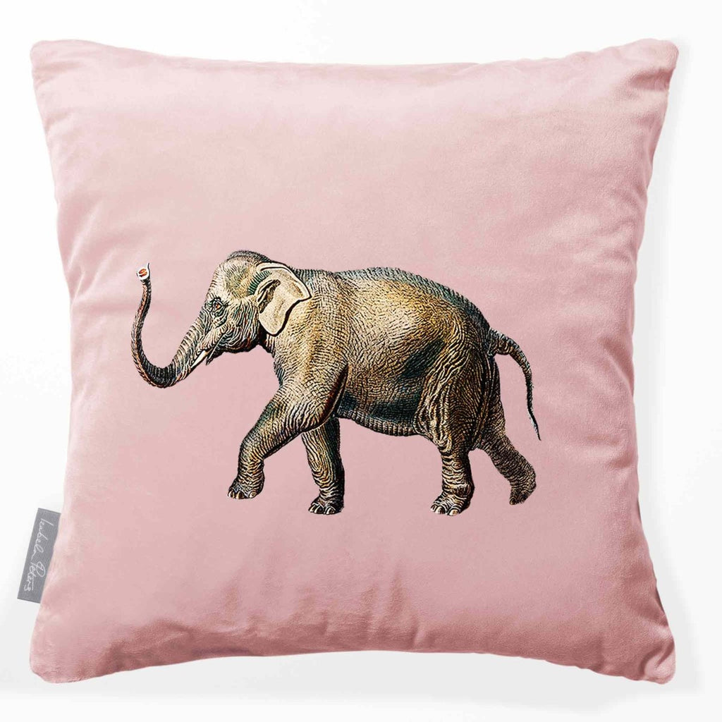 Elephant | Sustainable Velvet Cushion - Rosewater 40 x 40 cm Smooth by Izabela Peters