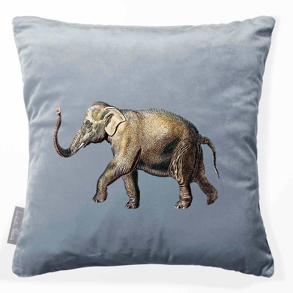 Elephant | Sustainable Velvet Cushion - French Grey 40 x 40 cm Smooth by Izabela Peters