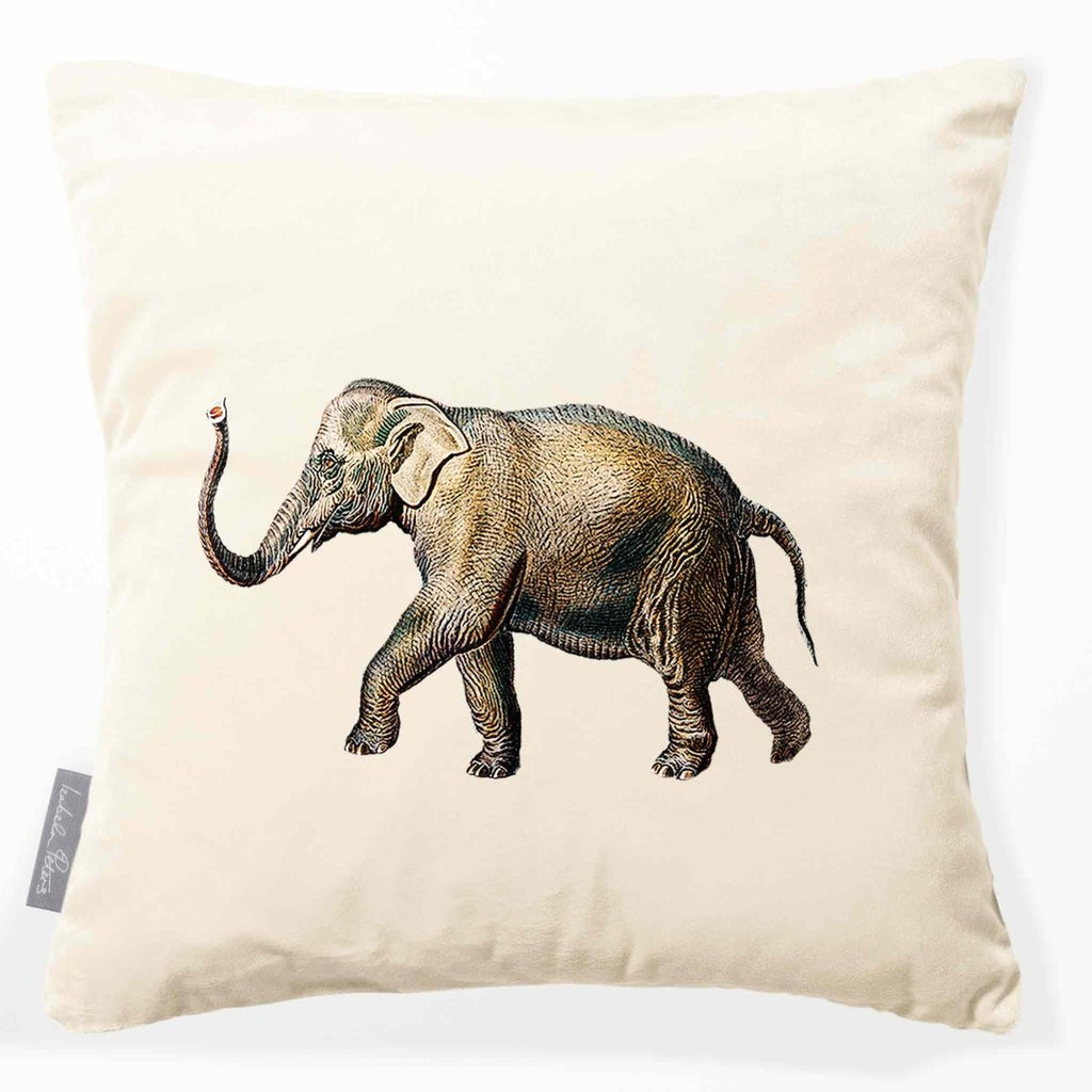 Elephant | Sustainable Velvet Cushion - Ivory Cream 40 x 40 cm Smooth by Izabela Peters