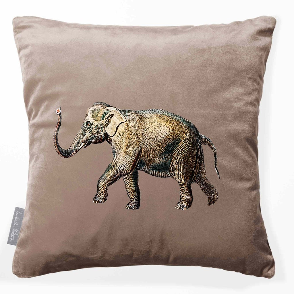 Elephant | Sustainable Velvet Cushion - Dovedale Stone 40 x 40 cm Smooth by Izabela Peters