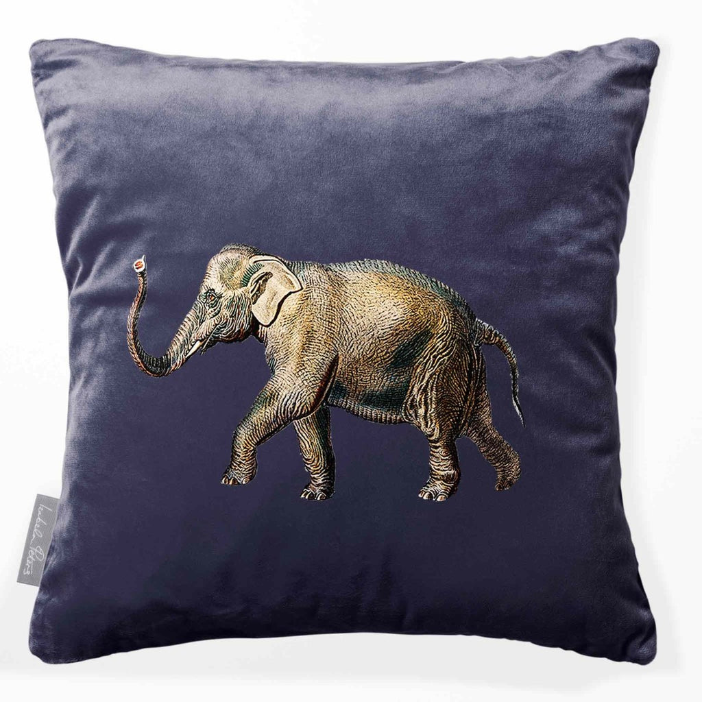Elephant | Sustainable Velvet Cushion - Graphite 40 x 40 cm Smooth by Izabela Peters