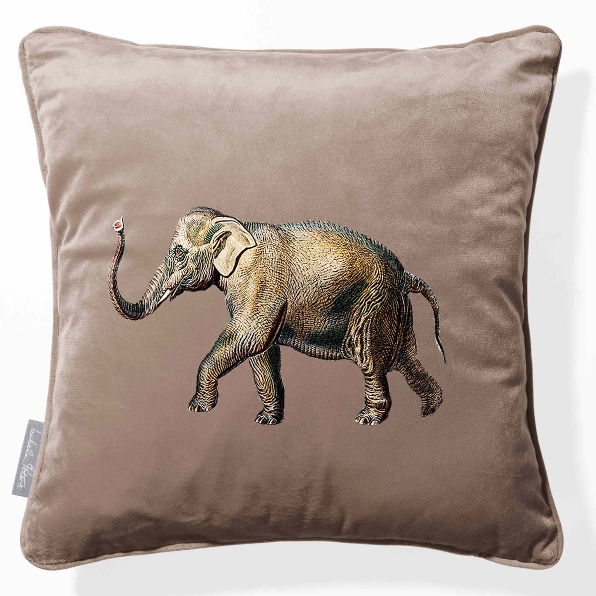 Elephant | Sustainable Velvet Cushion - Dovedale Stone 40 x 40 cm Piped by Izabela Peters