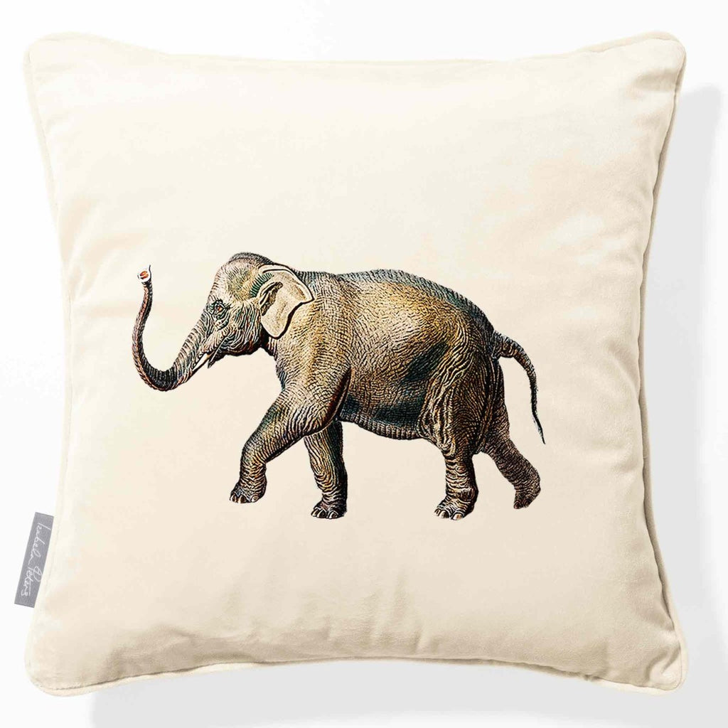 Elephant | Sustainable Velvet Cushion - Ivory Cream 40 x 40 cm Piped by Izabela Peters