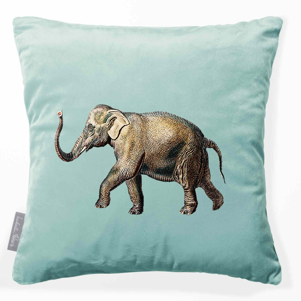 Elephant | Sustainable Velvet Cushion - Blue Surf 40 x 40 cm Smooth by Izabela Peters