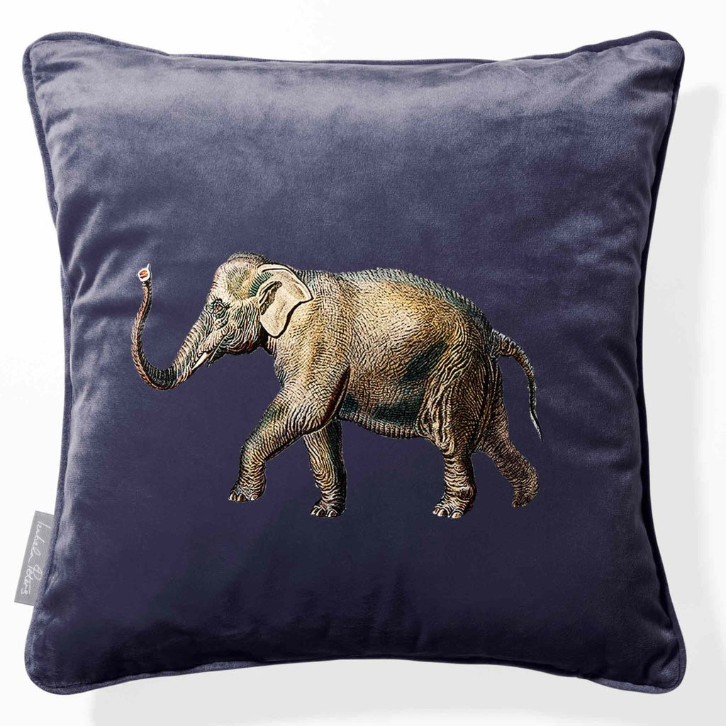 Elephant | Sustainable Velvet Cushion - Graphite 40 x 40 cm Piped by Izabela Peters